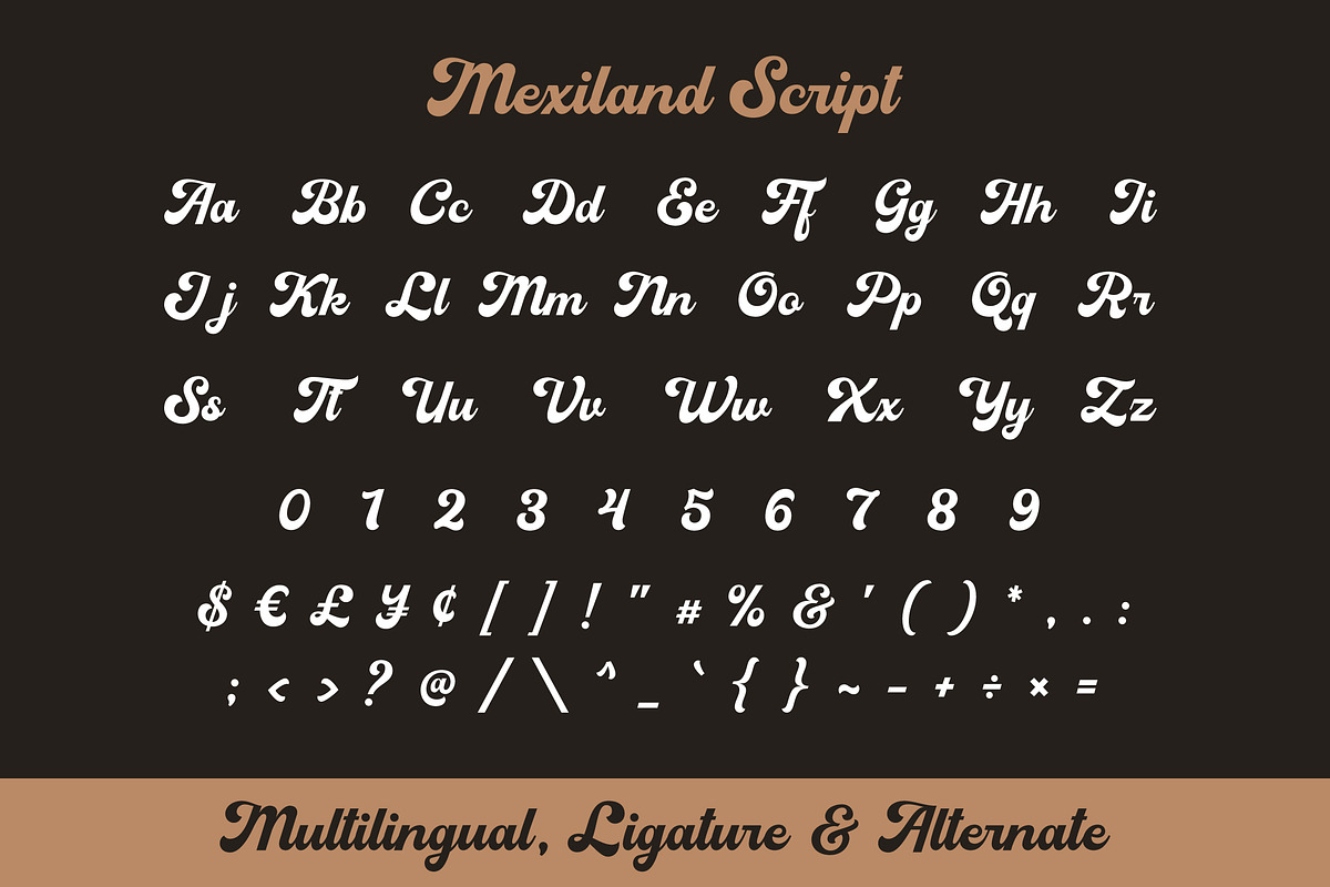 Mexiland - Vintage Font Duo, a Script Font by Grezline Studio (Photo 10 of 12)