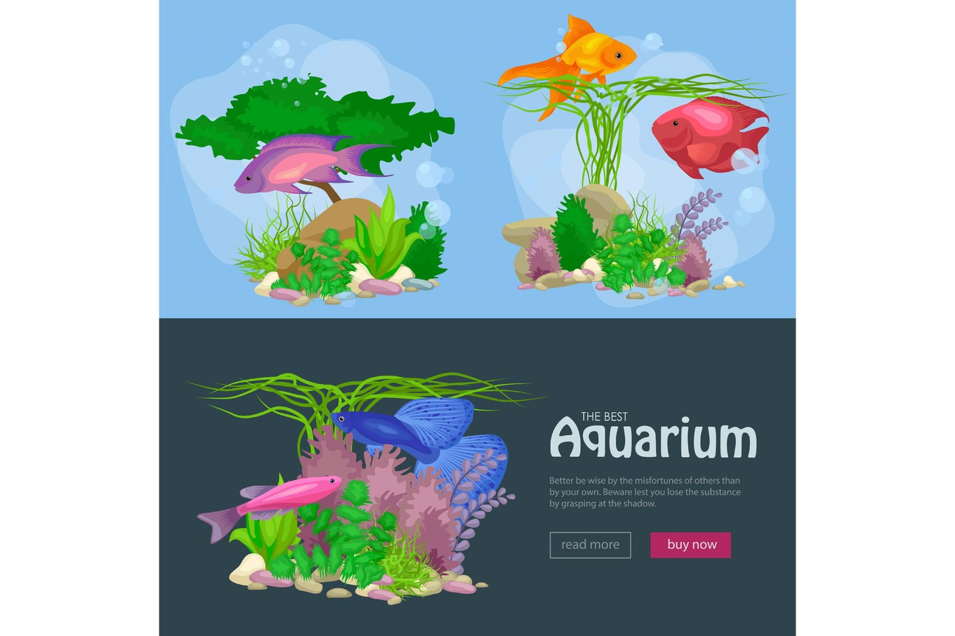 Aquarium fish, seaweed underwater, banner template layout with marine ...