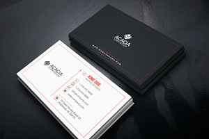 B6 Business Card