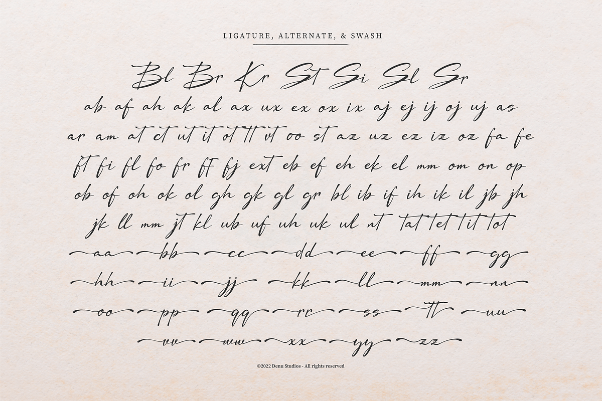 Dengacho Signature Signature Script, a Script Font by Denustudios (Photo 12 of 12)