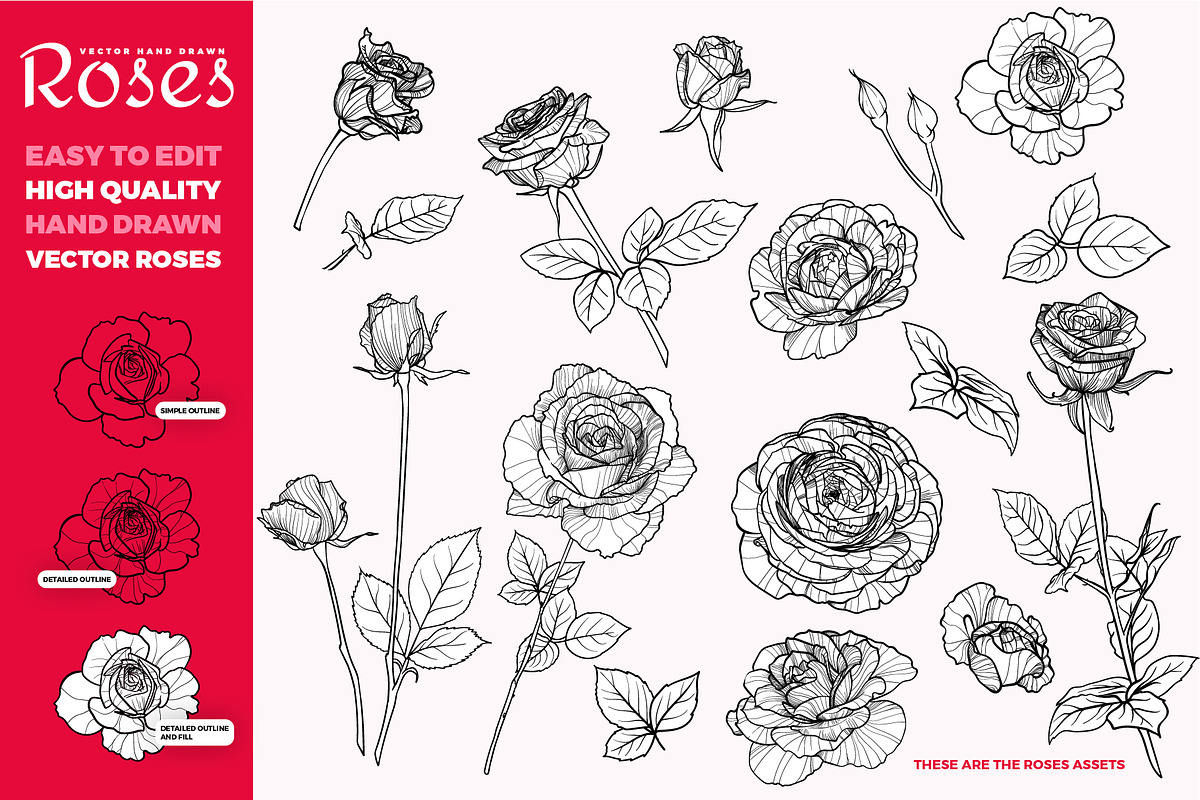 Hand drawn outline vector roses, a Decorative Illustration by MuzaInspires (Photo 2 of 5)