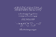 Indosign, a Script Font by khurasan (Thumbnail 6 of 6)