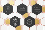150 Hand Drawn Elements -Logo-, an Animal Illustration by Michael Rayback Design (Thumbnail 6 of 7)