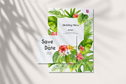 Tropical Elegance. Watercolors, a Decorative Illustration by Liliia Polos Illustration (Thumbnail 4 of 12)