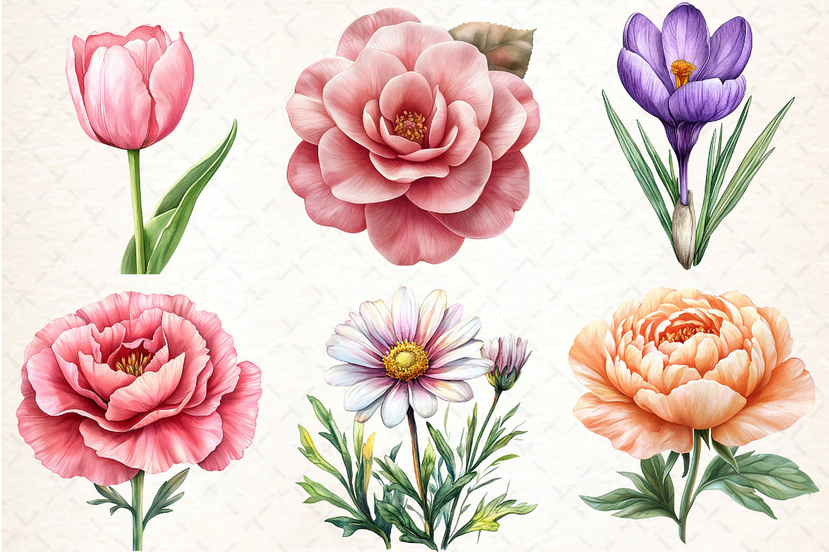 Flowers Watercolor Clipart Vol, an Illustration by DreamCafeArt (Photo 2 of 7)