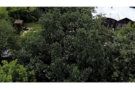 Aerial view of a green bushes and, an Architecture Photo by Media Whale Stock