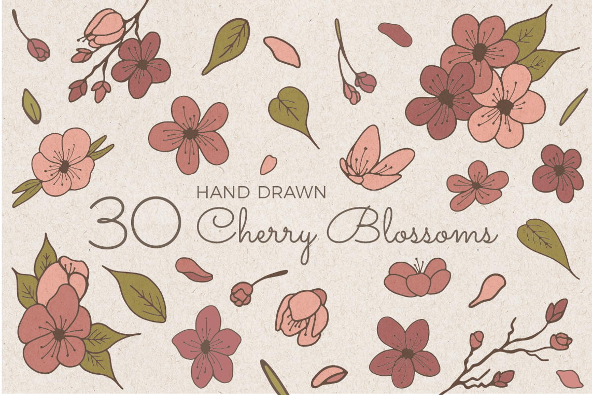 Hand Sketched Cherry Blossoms, a Decorative Illustration by By Kerri Ann (Photo 1 of 3)