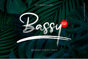 Bassy - Brush Font