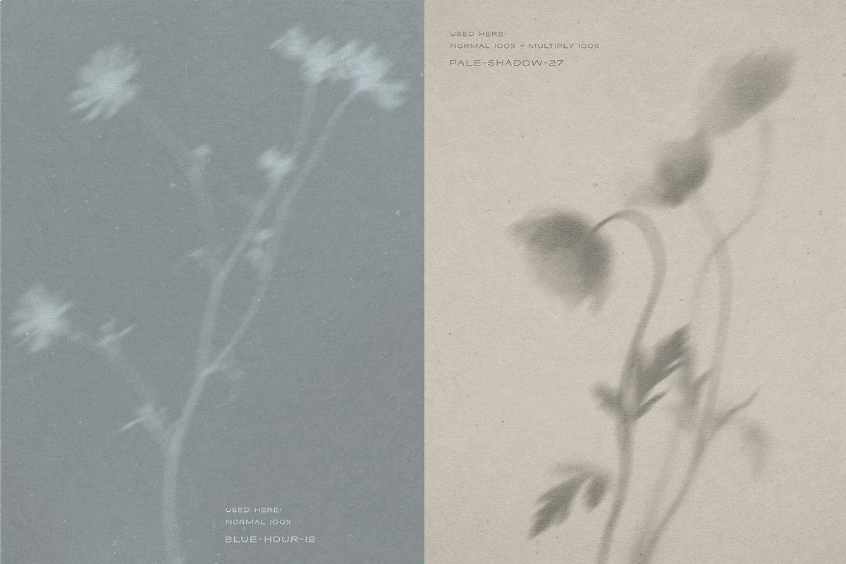 Diaphane - Blurry Floral Backgrounds, a Background Graphic by alonahaidash (Photo 4 of 16)