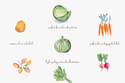 Watercolor vegetable clipart set, a Decorative Illustration by Patishop Art (Thumbnail 6 of 8)