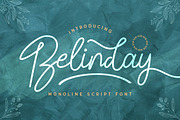 Belinday - Monoline Script Font, a Script Font by StringLabs (Thumbnail 1 of 11)