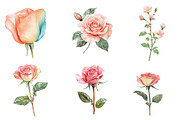 Mint and Pink Rose Garden Sublimatio, an Illustration by CreationArt (Thumbnail 2 of 5)