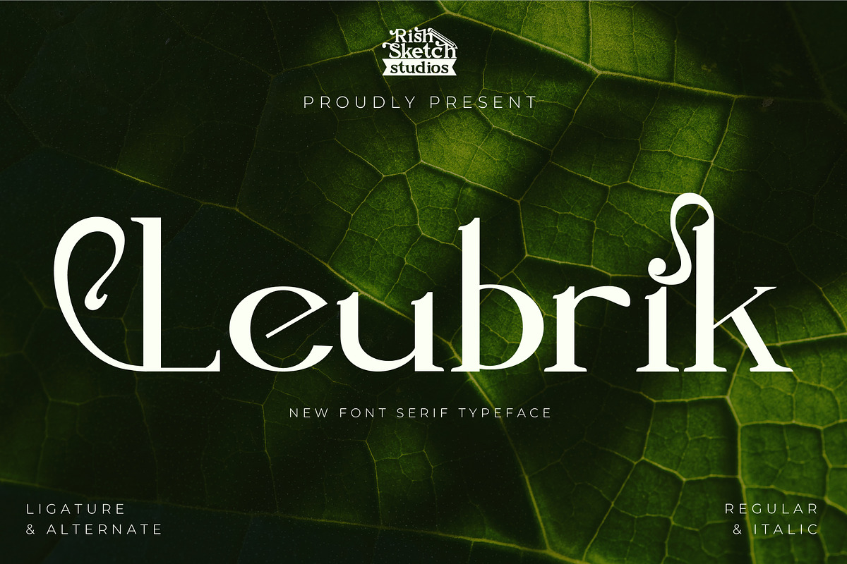 Leubrik - Serif Typeface Font, a Serif Font by Rishsketch (Photo 1 of 15)