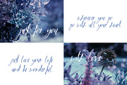 LaPayne Font, a Script Font by SophieSaxo (Thumbnail 3 of 8)