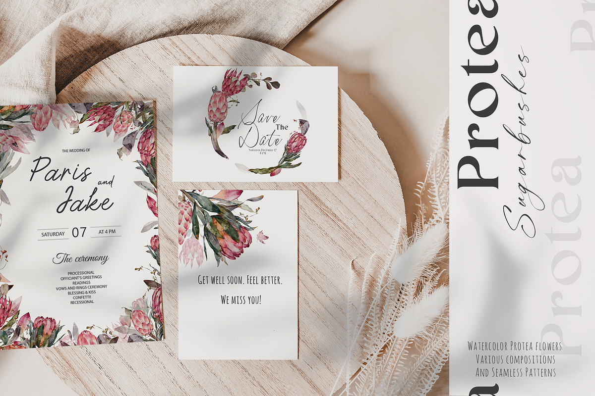 Watercolor Protea Floral Elements, a Decorative Illustration by Damian Roh (Photo 4 of 12)