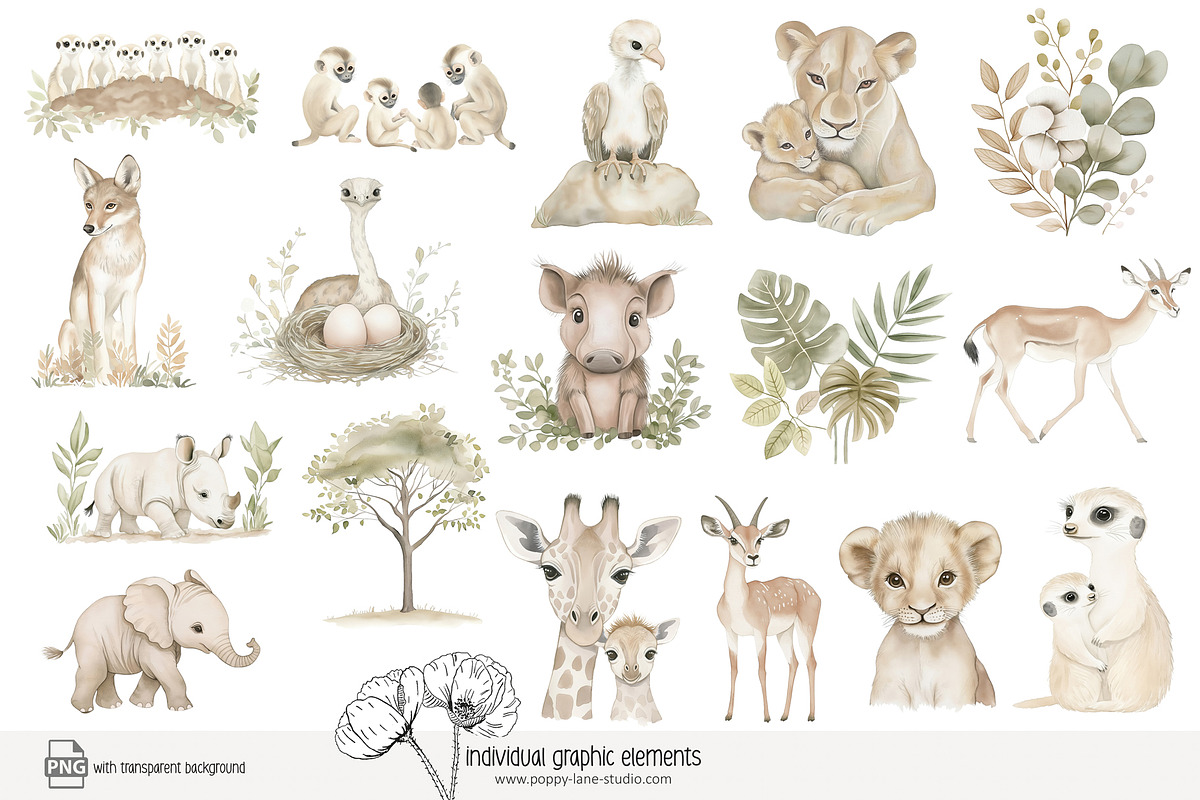 100 African savanna animals clip art, an Animal Illustration by Poppy Lane Studio (Photo 5 of 12)