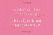 WILLOUGHBY by Tyler Elise, a Serif Font by tylerelise (Thumbnail 5 of 7)