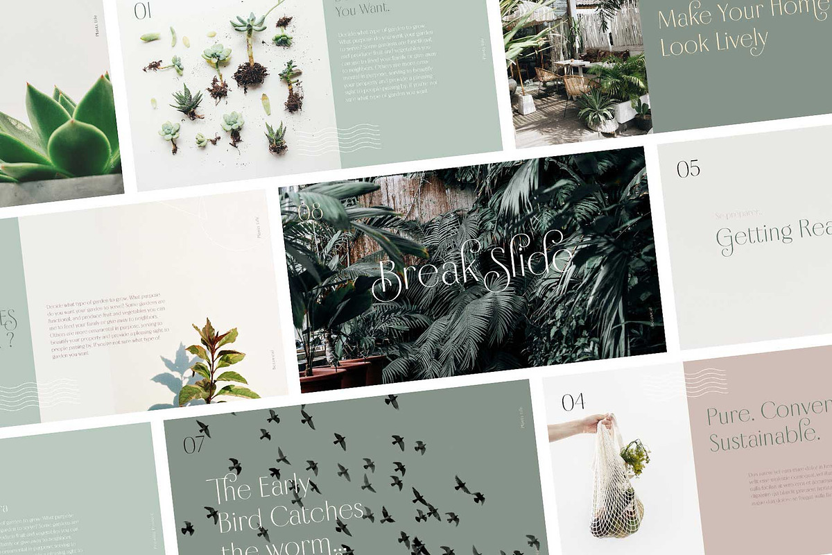 Borest - Elegant Roman Sans Serif, a Sans Serif Font by Flavortype (Photo 14 of 21)