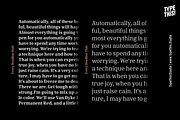 Every Core, a Serif Font by TypeThis!Studio (Thumbnail 7 of 10)