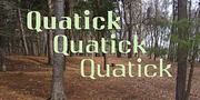 Qwatick, a Serif Font by Ingrimayne Type (Thumbnail 4 of 8)