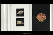 Flip Album Plastic Pocket Mockups, a Books & Magazine Mockup by Studio Viita (Thumbnail 9 of 11)