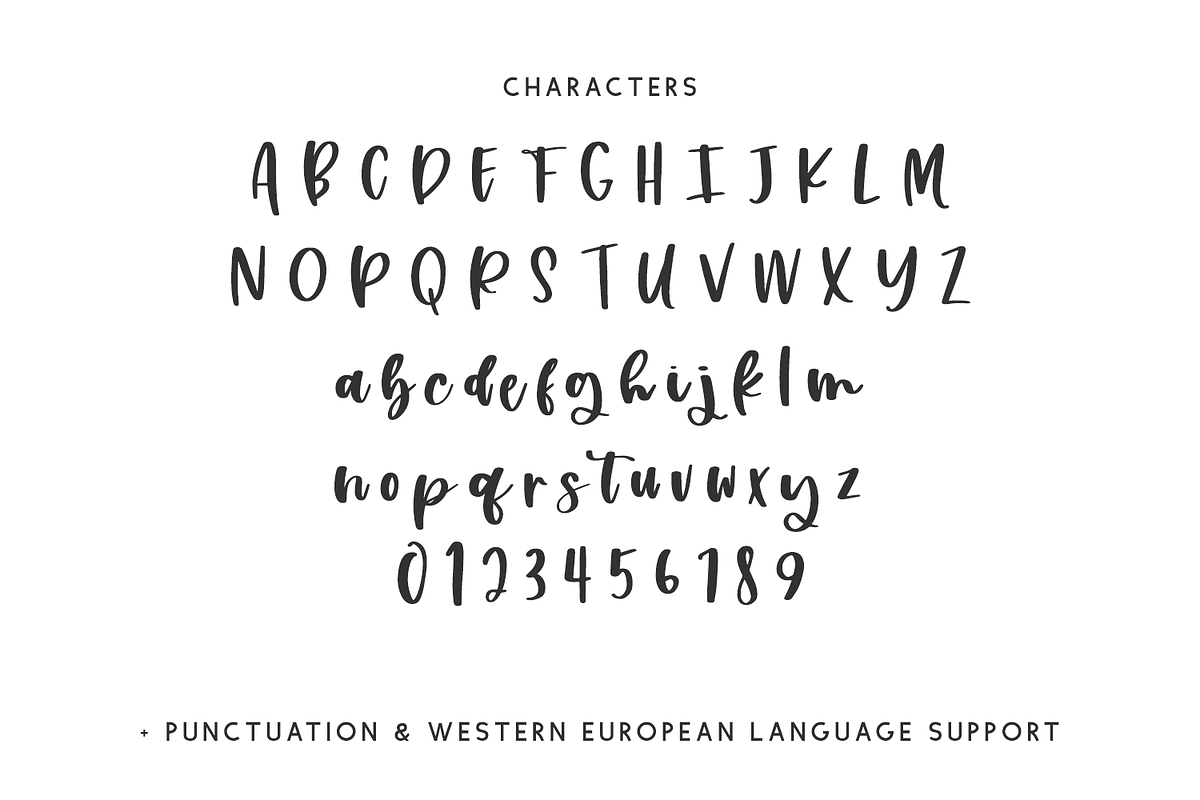 Inkerly Script, a Script Font by Beck McCormick (Photo 10 of 10)