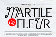 VT Salemore Longest Font Combination, a Serif Font by ViactionType (Thumbnail 5 of 13)