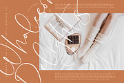 Blooming Stockholm Modern Script, a Script Font by stylishtype.co (Thumbnail 16 of 20)