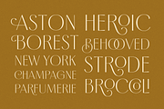 Borest - Elegant Roman Sans Serif, a Sans Serif Font by Flavortype (Thumbnail 2 of 21)