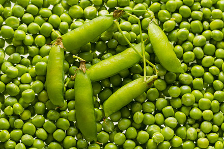 Green peas kernels featuring pea, food, and green, a Food & Drink Photo by oleghz