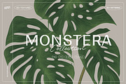 Illustration Bundle - 6580+ elements, a Texture Illustration by Nomad Visuals (Thumbnail 13 of 32)
