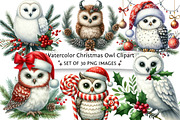 Watercolor Christmas Owl Clipart, an Illustration by DreamPrint404 (Thumbnail 1 of 6)