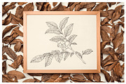 Branches, Leaves and Berries Vol. 2, a Seasonal Illustration by GVGraphics (Thumbnail 3 of 12)