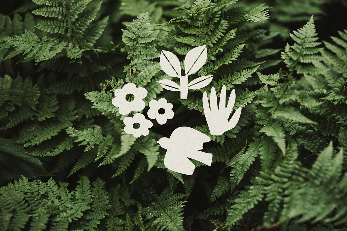 Modern Botanical Clip Art Collection, a Decorative Illustration by Sweet Fig (Photo 13 of 13)