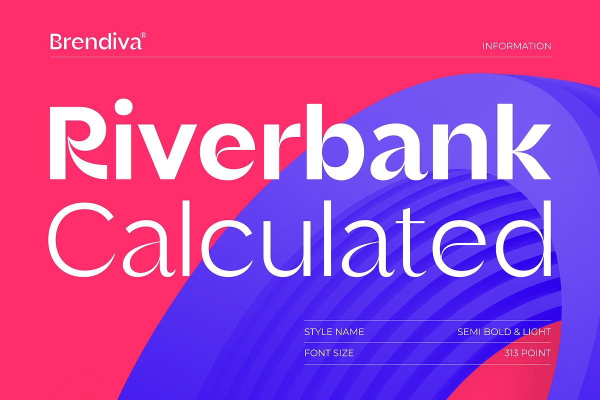Brendiva Font Family, a Sans Serif Font by Digitype Studio (Photo 3 of 10)