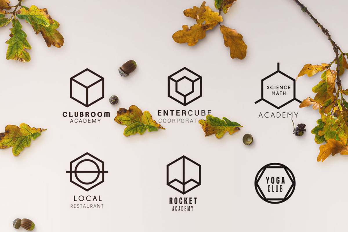 150+ Minimal Hexagon Logo Templates, a Branding & Logo Template by Sahade Studio (Photo 16 of 25)