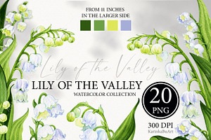Watercolor flower Lily of the valley