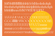 Bemgola Modern Display Serif, a Serif Font by timelesstype.co (Thumbnail 19 of 20)