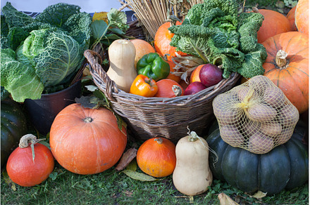 Autumn Harvest Festival, a Food & Drink Photo by Rohan Photography