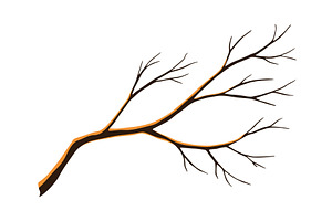 Watercolor hand drawn tree