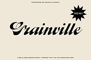The Diverse Font Bundle, a Sans Serif Font by Bnick (Thumbnail 5 of 34)