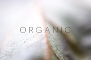 Organic | 20 Botanical Photos, a Nature Photo by Melanie Helena (Thumbnail 17 of 20)