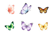 Butterfly PNG Clipart Bundle, an Illustration by SinaCreation (Thumbnail 3 of 7)