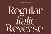 CS Abenia – Elegant Serif Font, a Serif Font by Craft Supply Co. (Thumbnail 4 of 8)