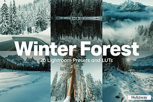 20 Winter Forest Lightroom Presets, a Preset Add-On by Hubzway