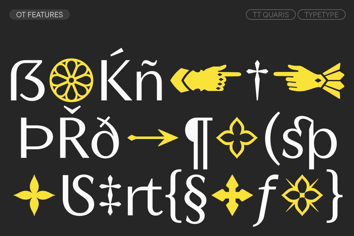 TT Quaris, a Serif Font by TypeType (Photo 15 of 15)