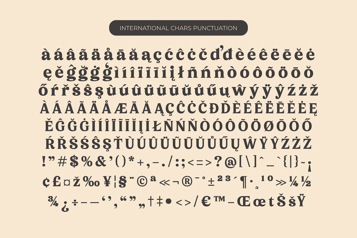 Sonttak Bold Retro Display Serif, a Serif Font by timelesstype.co (Photo 14 of 15)