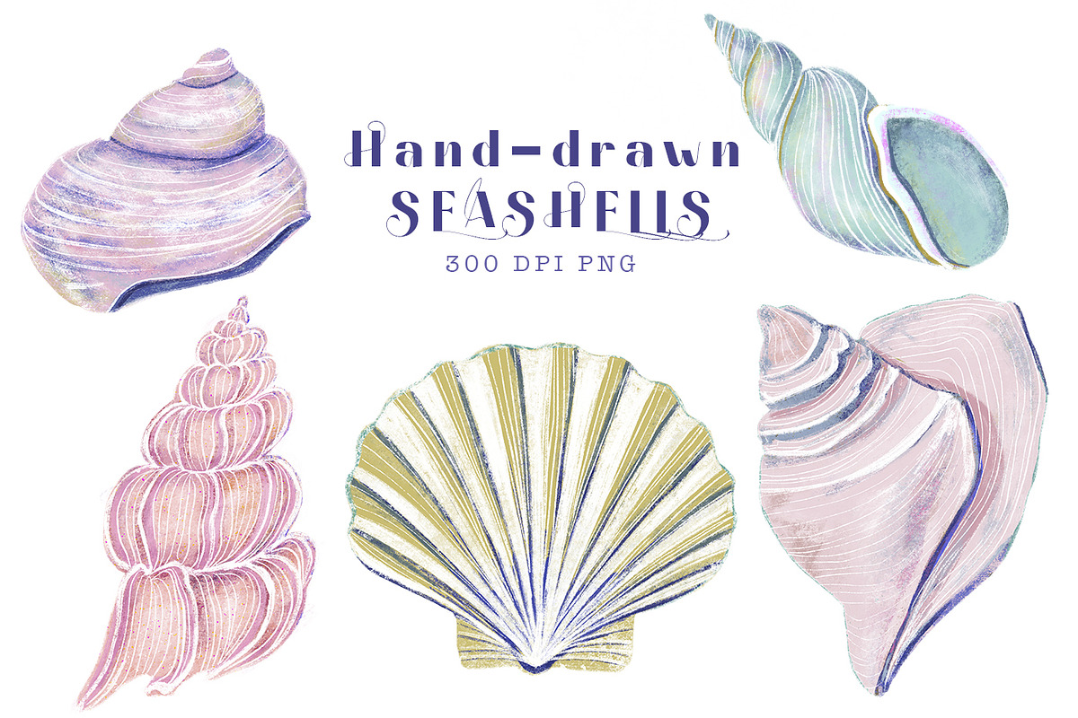 Seashells clipart collection, an Object Illustration by Katie Lisker