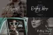 Premium Font Bundle Sale, a Script Font by Heinzel Std (Thumbnail 8 of 10)