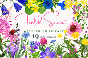Field Watercolor Flowers